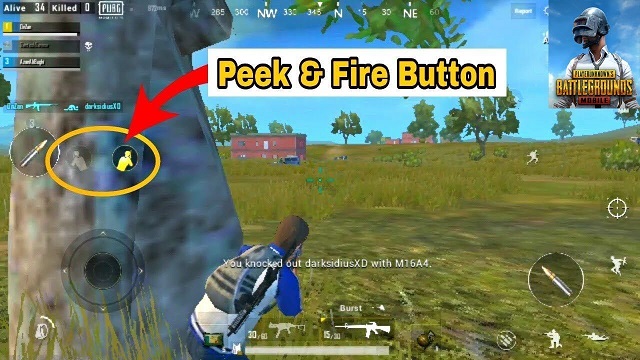 Use Peek Buttons